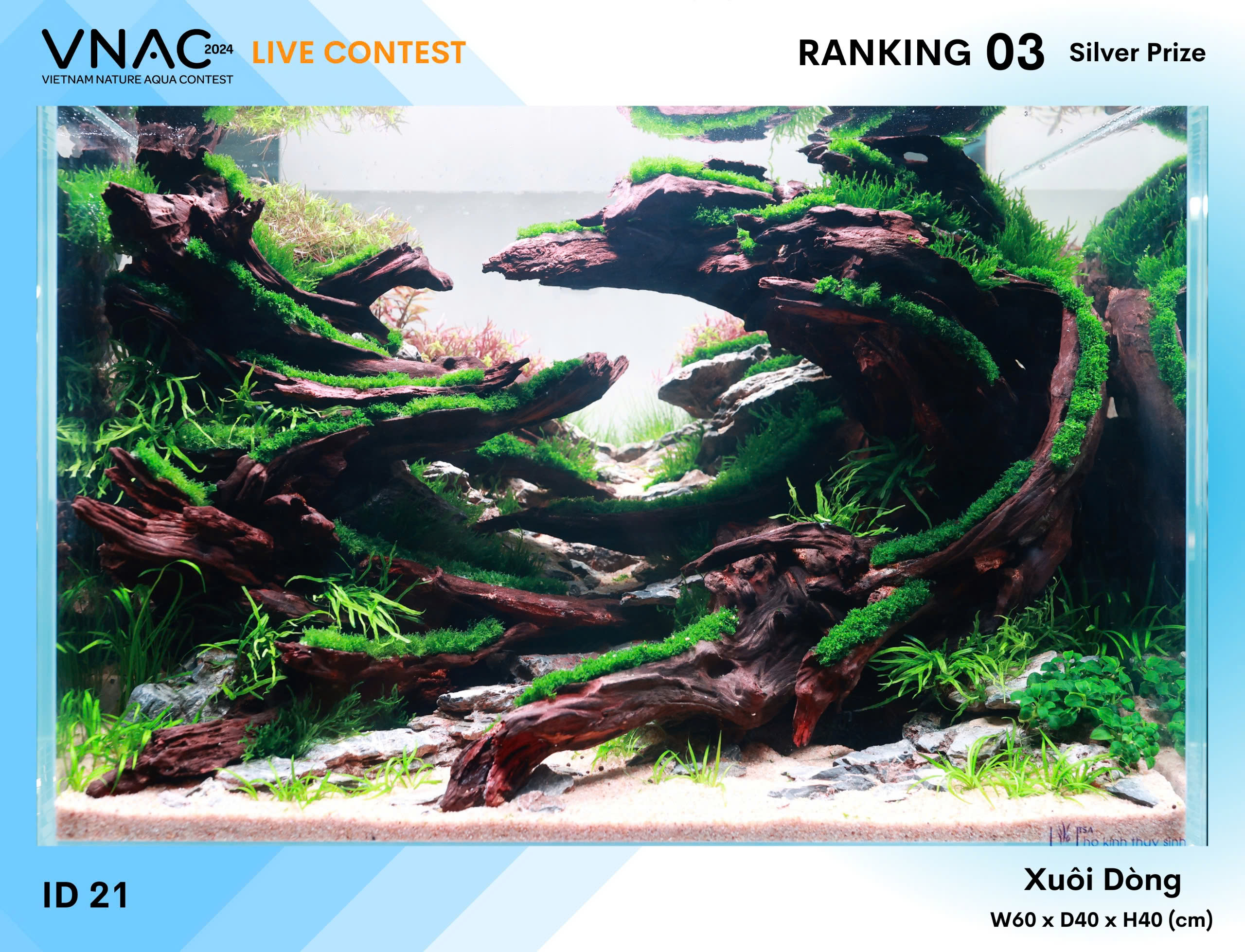 Rank 3 - ID21 - Xuôi Dòng